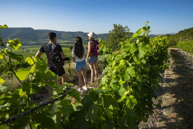 2000 Vins d'Ardèche - Valvignères, le 28 juin 2019.